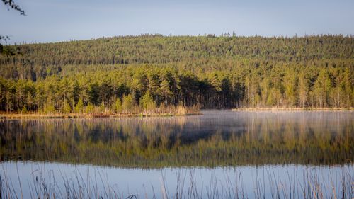 Free Serene view of a tranquil lake reflecting a lush forest landscape under clear blue skies. Stock Photo