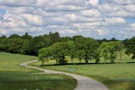 Green Trees on Green Grass Field Under White Clouds and Blue Sky