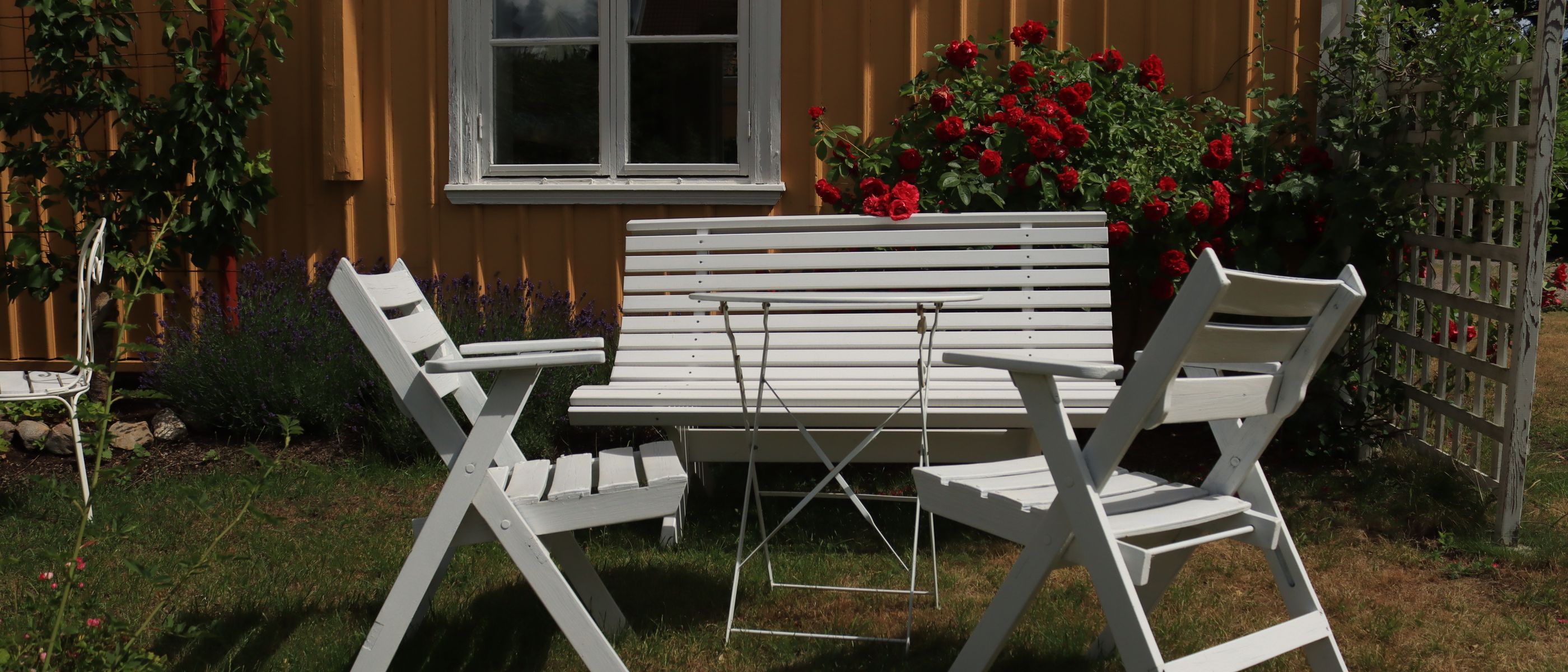 Fence and Decking Painting in Bedford Park — surfaces prepped and cut in by hand