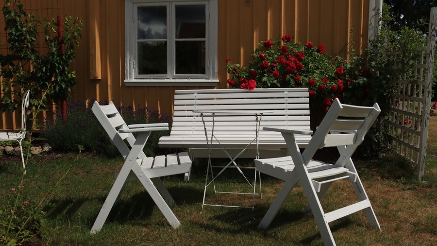 How to Start an Herb Garden (Indoors or Out)