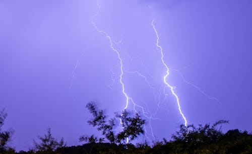 Free Close-Up Photo Of Lightning Strike on Trees Stock Photo