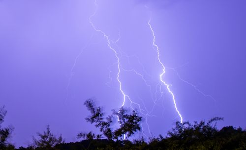 Free Striking lightning bolts illuminate a dark sky above silhouetted trees, conveying dramatic weather. Stock Photo