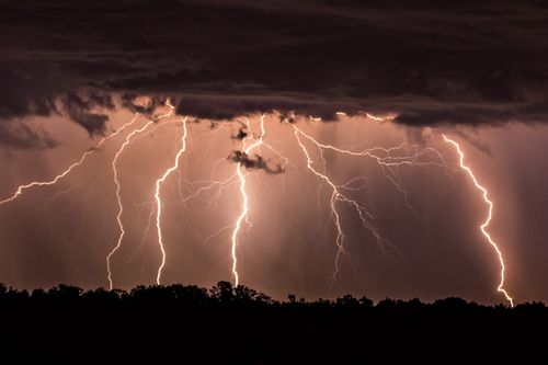 Free A powerful lightning storm illuminates the night sky with bold streaks over silhouetted trees. Stock Photo