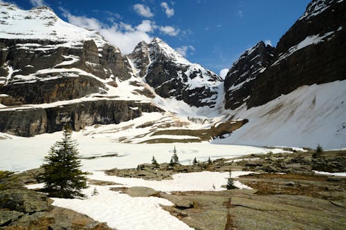 Foto d'estoc gratuïta de Canadà, columbia britànica, congelat