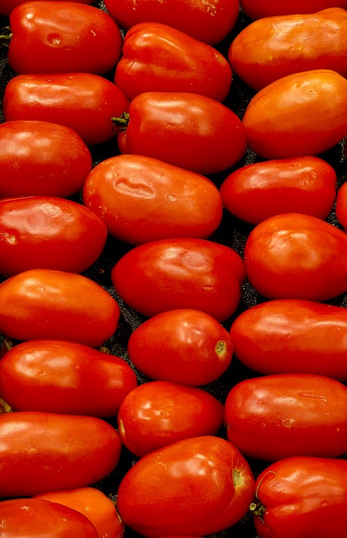 Close up of Tomatoes