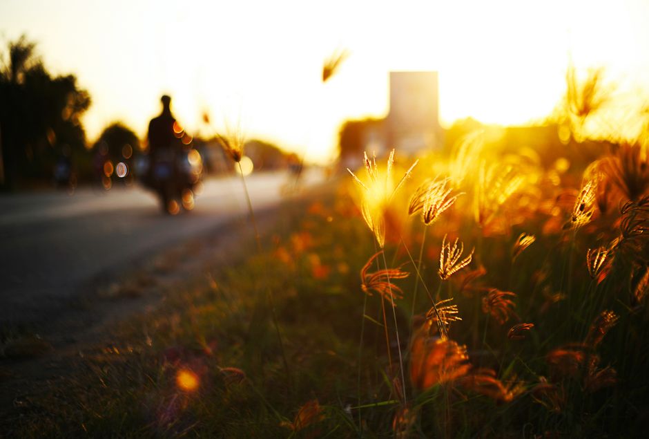 Silhouette of a biker at sunset with golden grass and warm light.