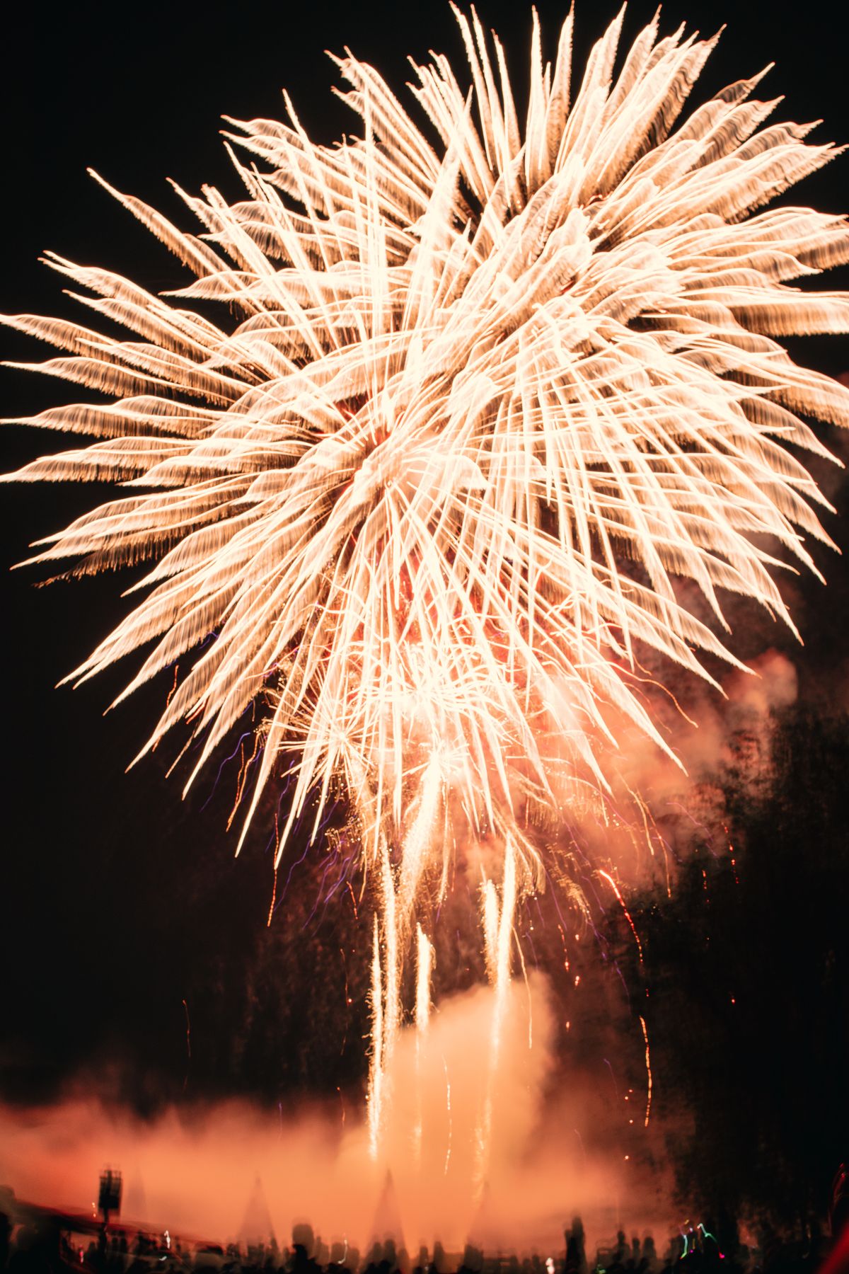 Feux d'artifice vifs illuminant le ciel nocturne
