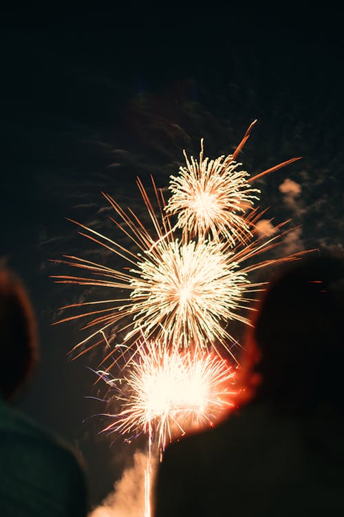 Spectators Watching a Fireworks Show in the Night Sky