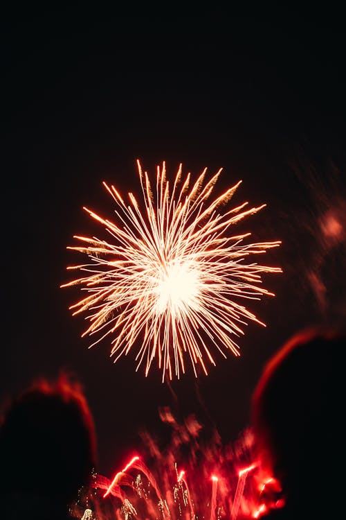 Fireworks Display on a Black Sky