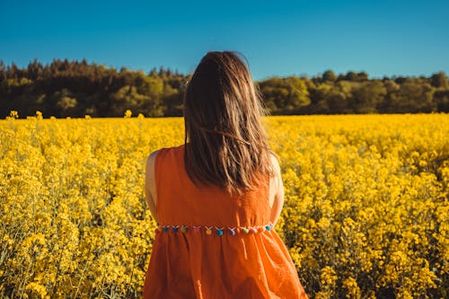 Foto Di Donna Che Guarda Un Campo Di Fiori.