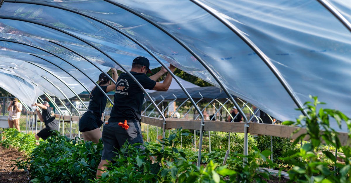 Farm Workers Setting up a Tunnel at a Farm
