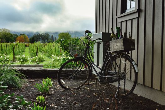Healdsburg on the California Wine Country route