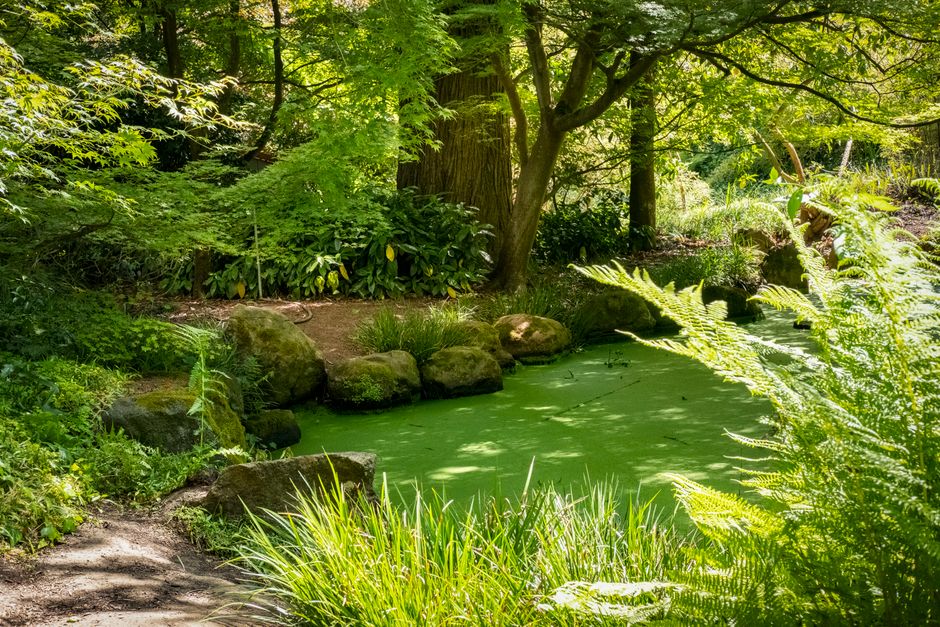 The Lost Gardens of Heligan