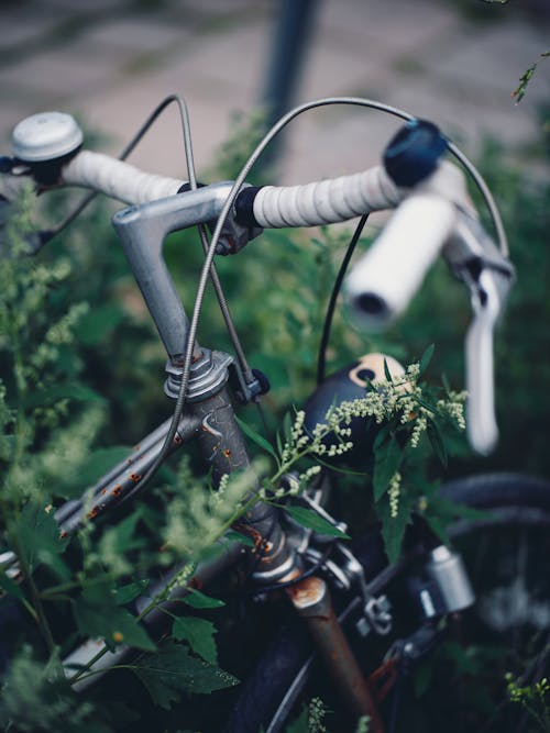 Ücretsiz bisiklet, Çiçekler, dikey atış içeren Ücretsiz stok fotoğraf Stok Fotoğraflar