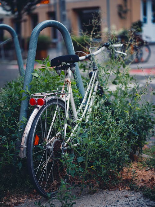 Gratuit Photos gratuites de bicyclette, garé, parking à vélos Photos