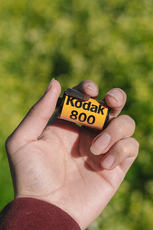 Person in the Flower Field Holding a Film Roll 