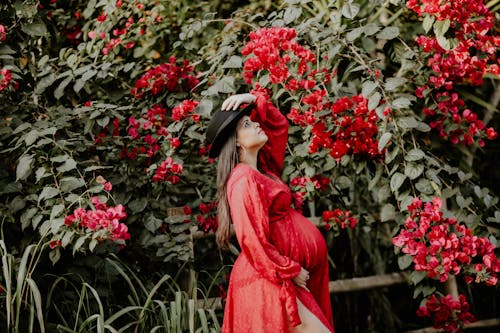 Pregnant Woman in Red Dress 