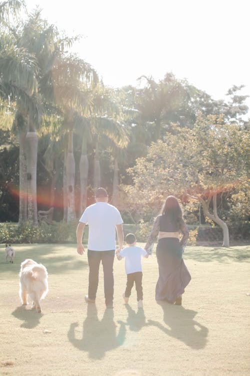 Family Walking Together with Their Dogs 