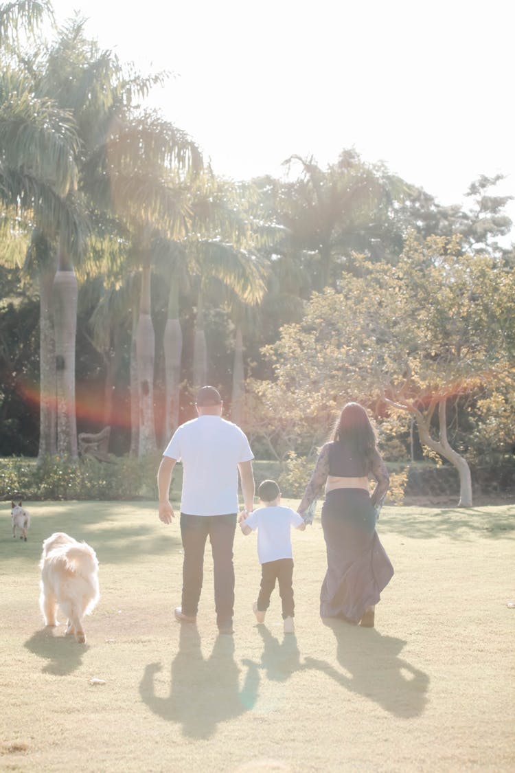 Family Walking Together With Their Dogs 