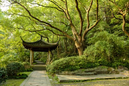 Free Tranquil walkway through lush greenery in a traditional Chinese garden in Hangzhou, China. Stock Photo