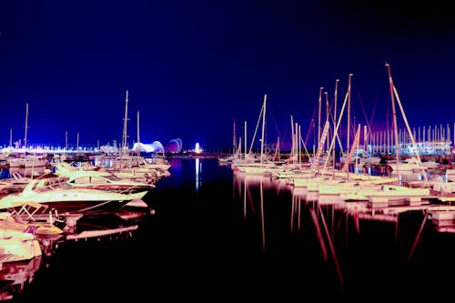 Free stock photo of sailboats