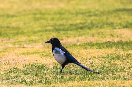 Základová fotografie zdarma na téma parque