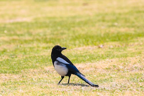 Δωρεάν στοκ φωτογραφιών με parque