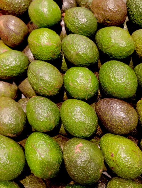 Free Close-up of fresh organic avocados, showcasing their vibrant green color and abundance. Stock Photo