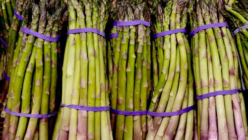 Close Up Photo of Bundles of Asparagus