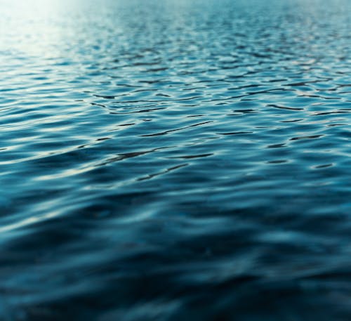 Photo of Body of Water