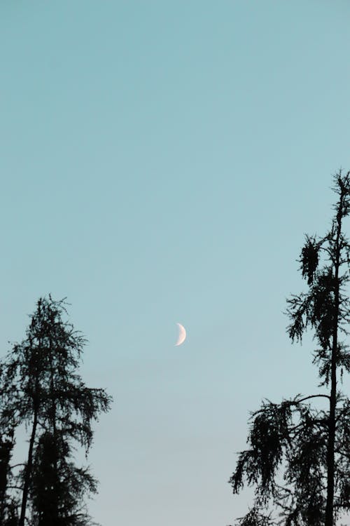 Gratis lagerfoto af blå himmel, Halvmåne, lodret skud