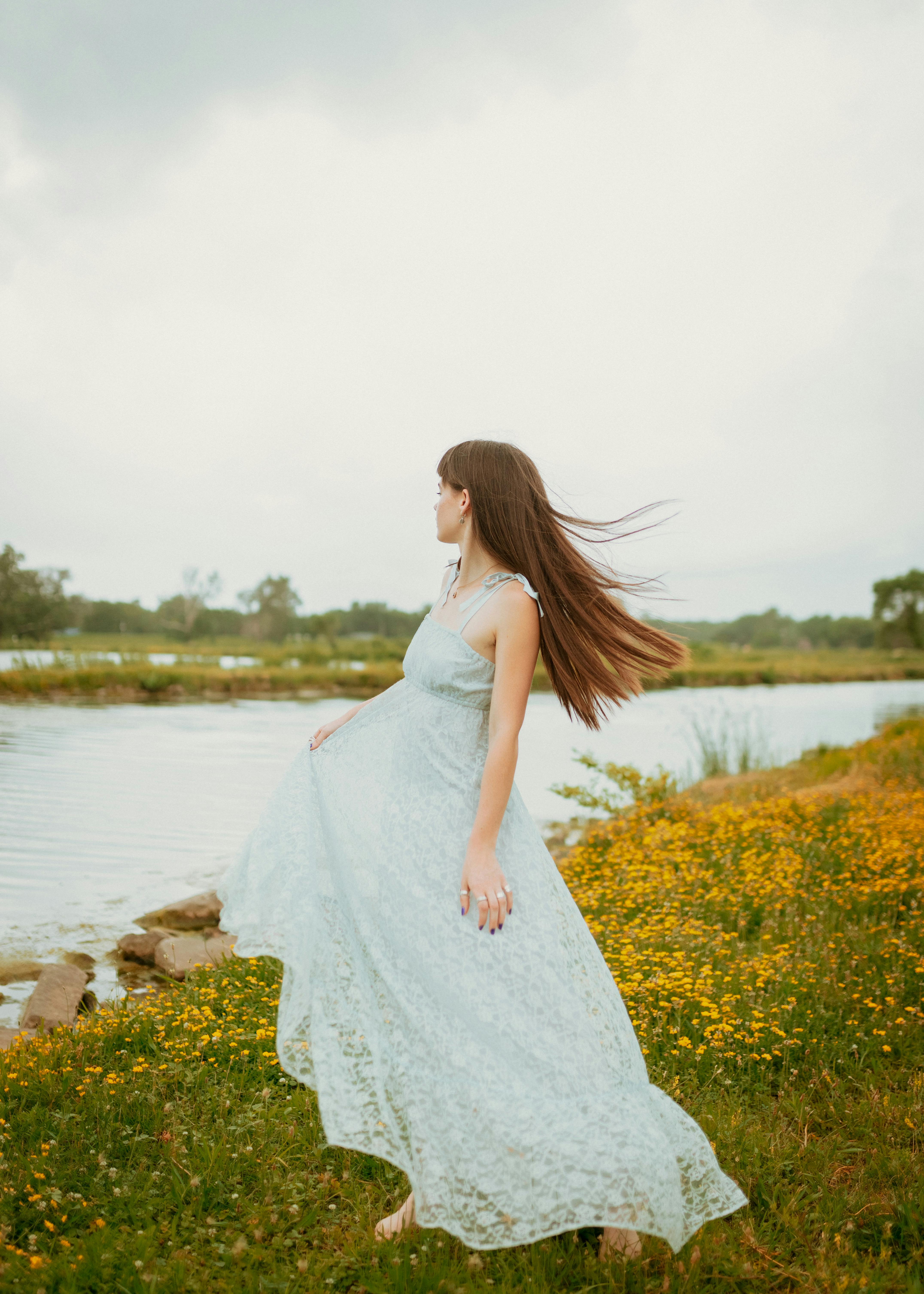 Gratuit Photos gratuites de aéré, amérique du nord, arbres Photos