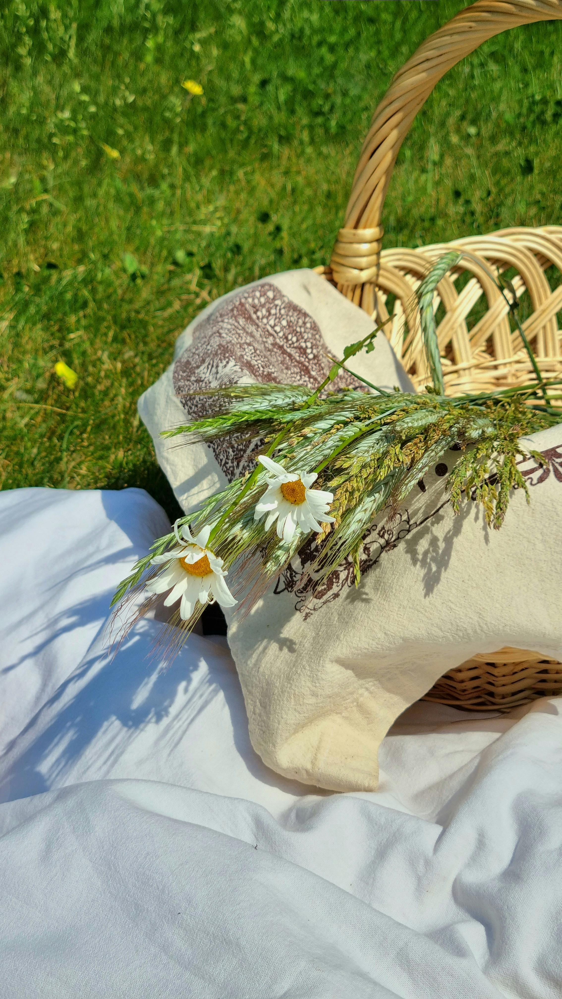 White Picnic Blanket On Grass · Free Stock Photo