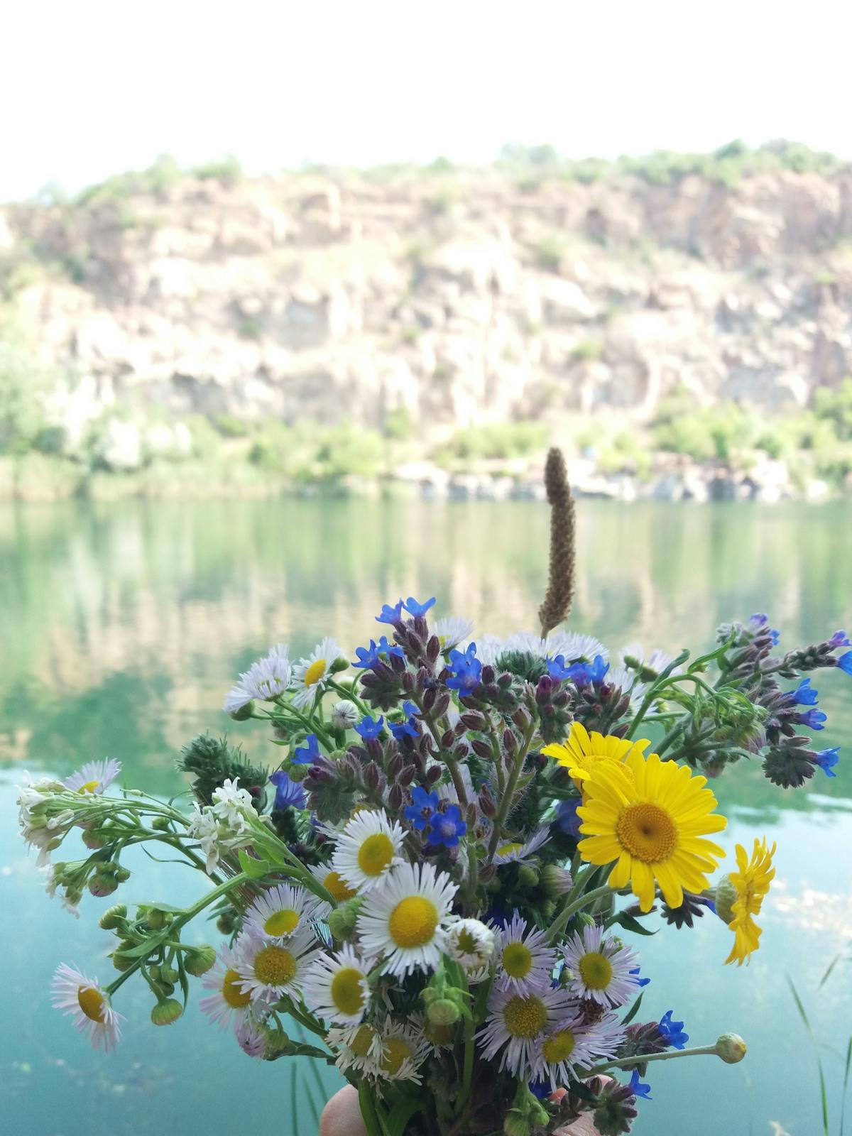 A pot of simmering chicken and lentil soup on the stove