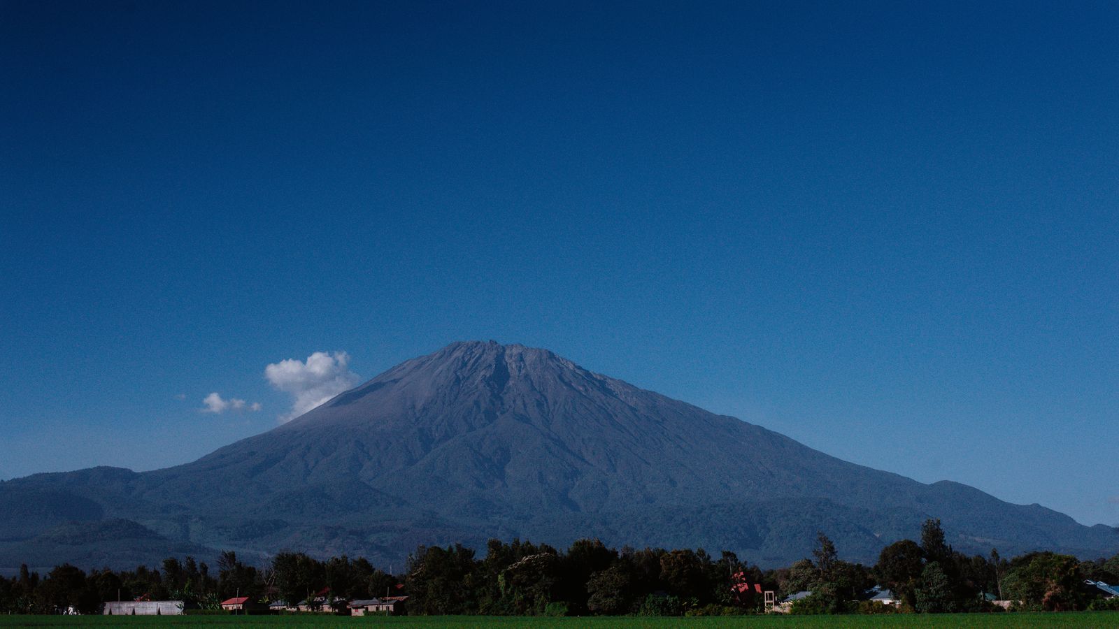 A grass field trees and mount meru under clear blue sky, Cameroon