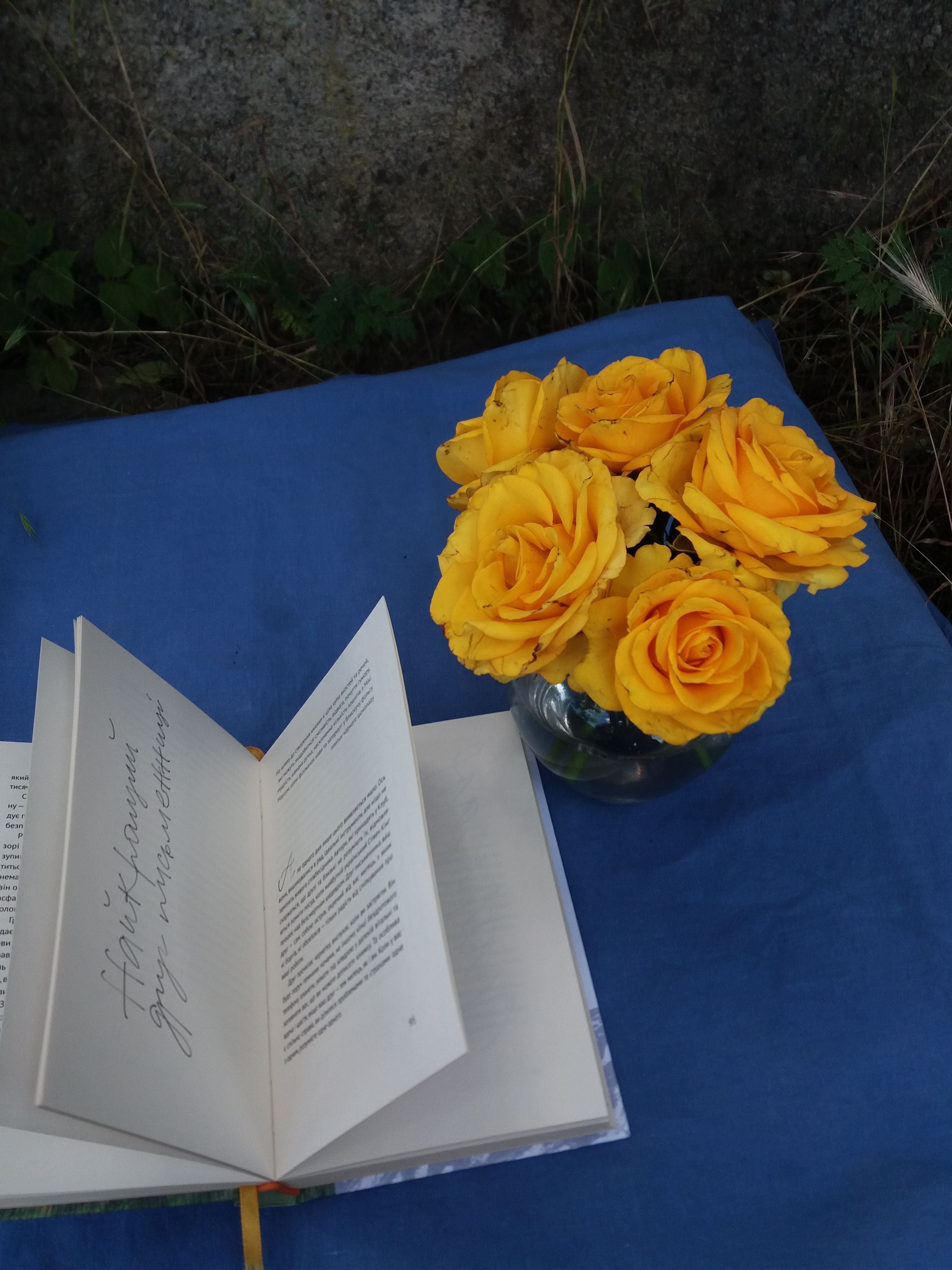 Aesthetic arrangement of an open book and yellow roses on a blue cloth, captured outdoors.