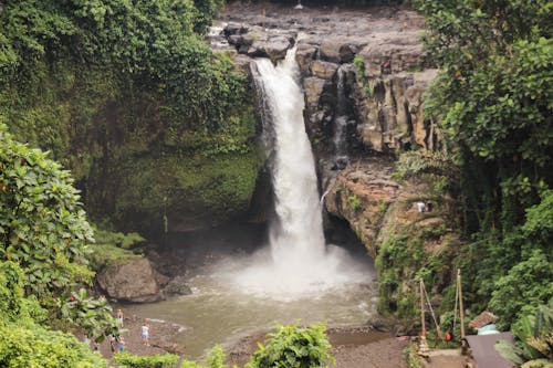 Бесплатное стоковое фото с водоем, водопад, деревья