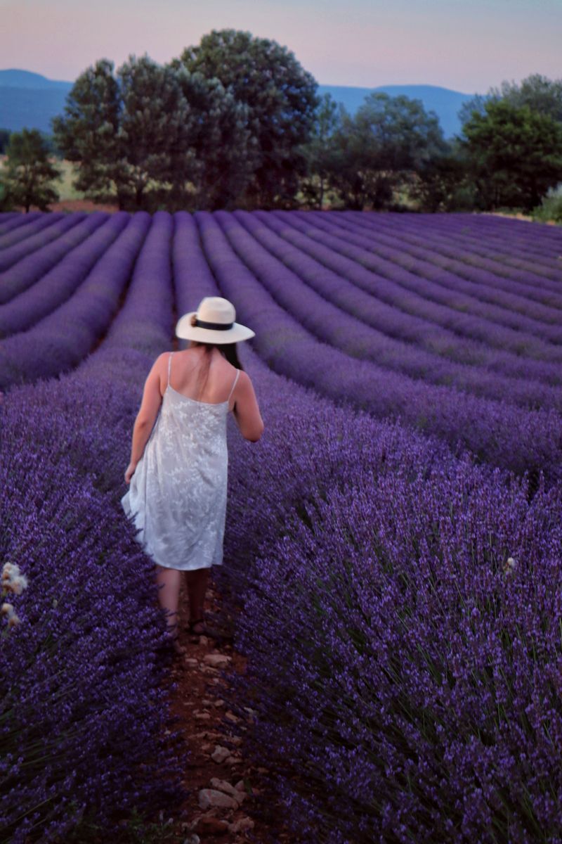 Provence & Côte d'Azur — Sun, Lavender, Riviera