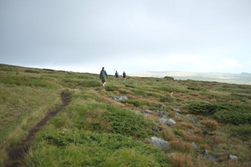 People Walking on a Field