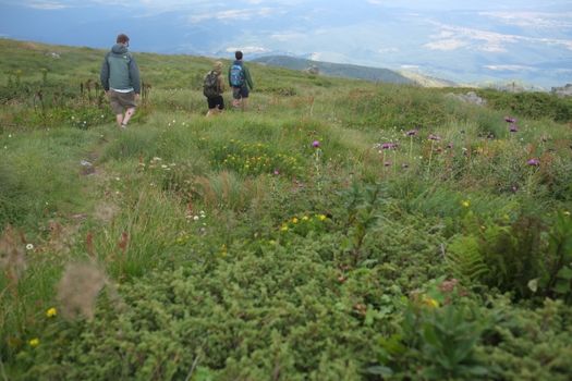 Three hikers walk through vibrant grasslands with wildflowers on a mountain trail in Bulgaria.