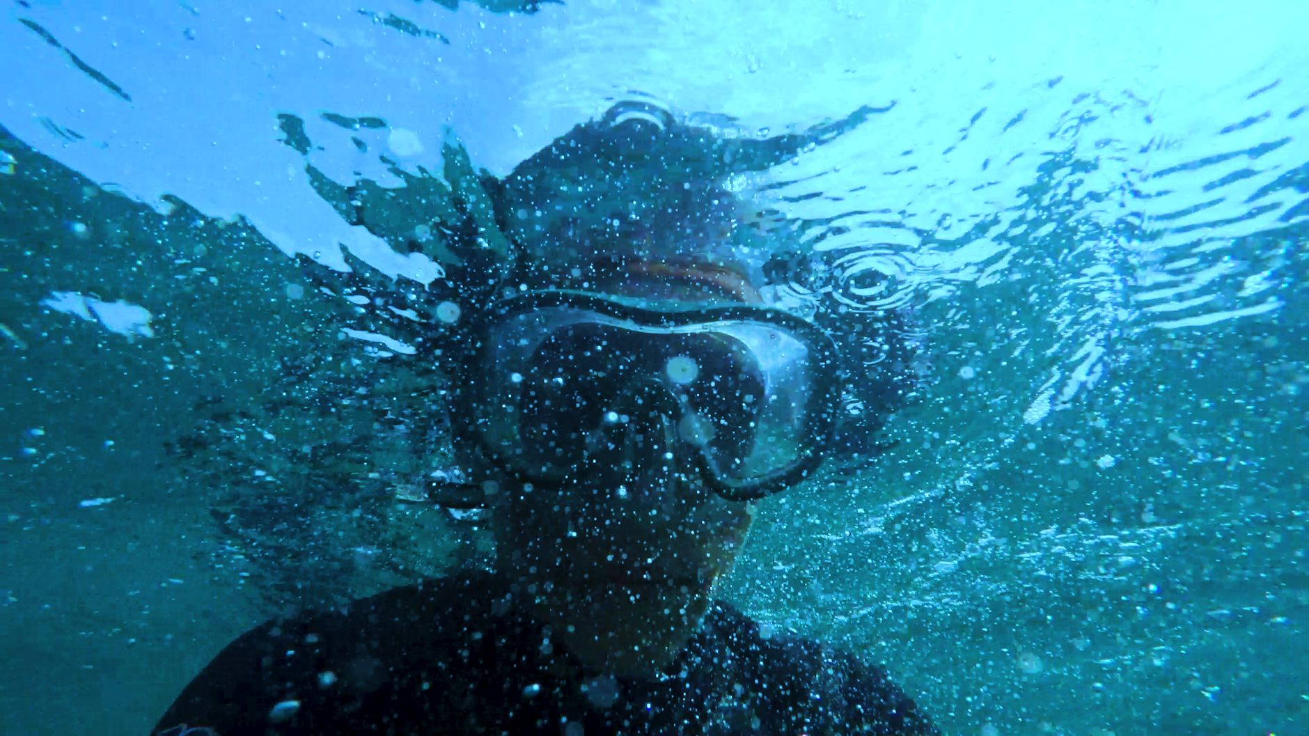 An underwater view of a scuba diver submerged in the ocean, capturing the essence of aquatic adventure.