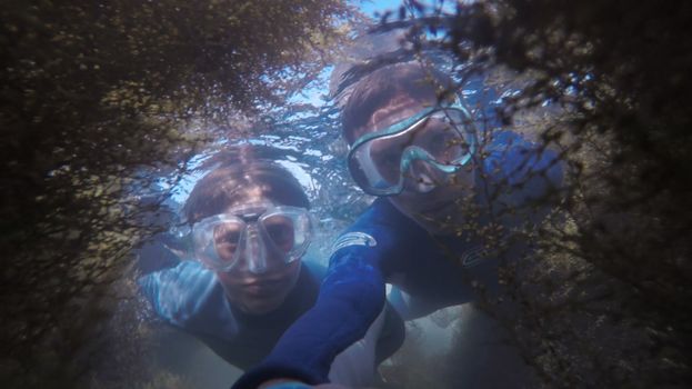 两名浮潜者在水生植物环绕中探索水下地形