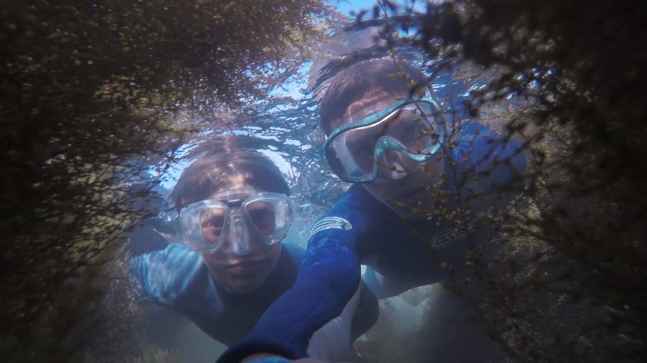 Bondi Beach legjobb rejtett strandjai magyar szemmel – Gordon's Bay Sydney snorkeling underwater trail