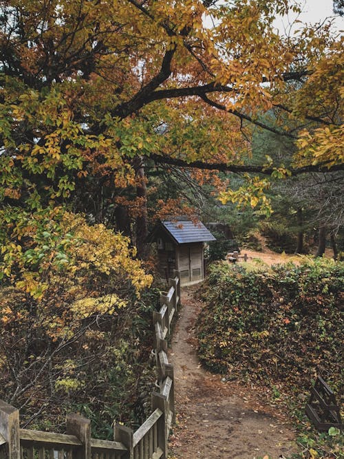 공원, 나무, 수직 쐈어의 무료 스톡 사진