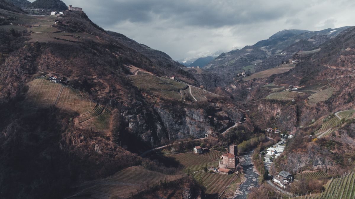 Vigneti terrazzati e montagne in Valtellina, panorama autunnale
