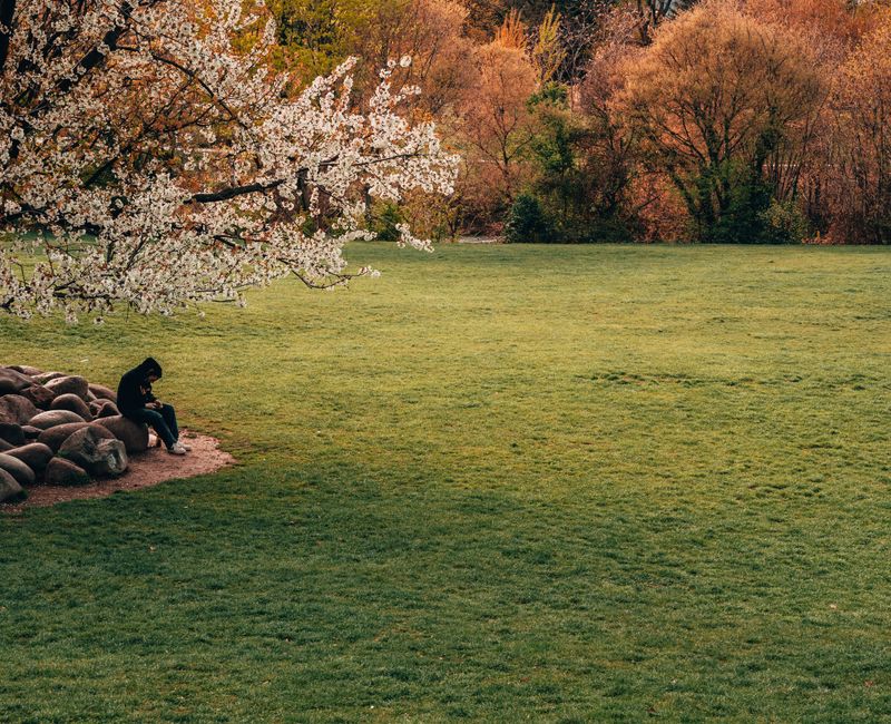 A person sitting alone, looking contemplative in a tranquil park setting.