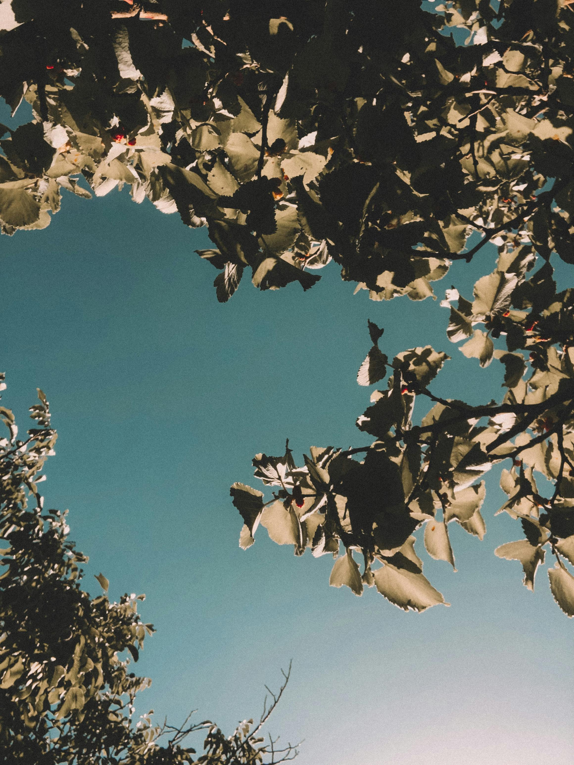 高雄市舉辦左營海軍眷村年貨大街 活絡春節經濟與社區交流