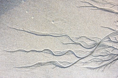 Close-up of a Pattern in the Sand 