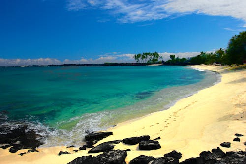 Beautiful Beach in Hawaii