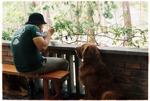 A Dog Sitting in Front of a Man Eating Food